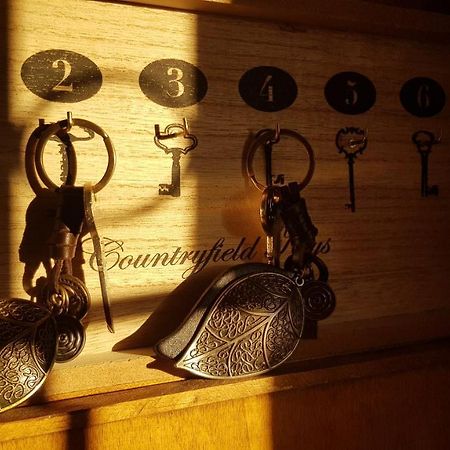 Apartamento Rural Alfawara Alfafara Zewnętrze zdjęcie